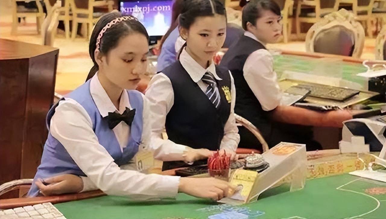 腾龙技术团队